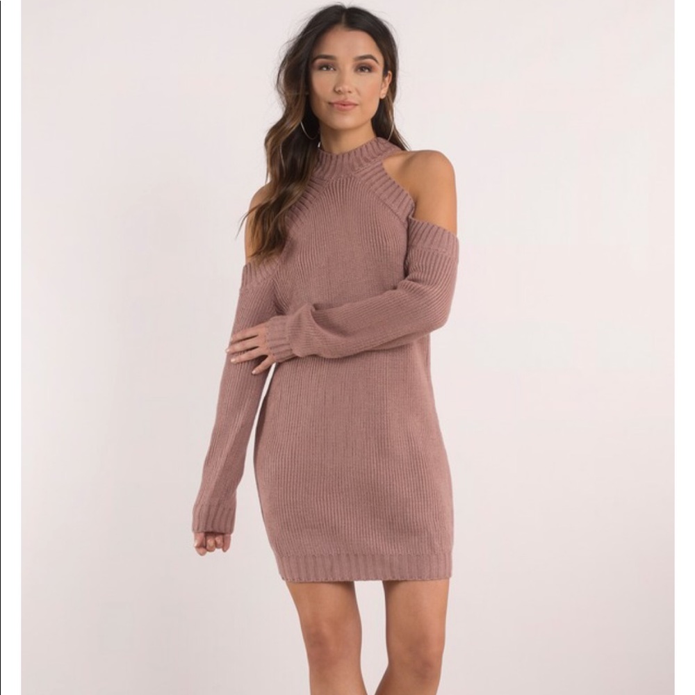 Tobi Half Thought Rose Sweater Dress